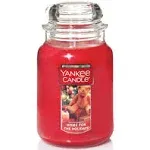 Yankee Candle - Home for The Holidays Large 22 oz Jar Candle