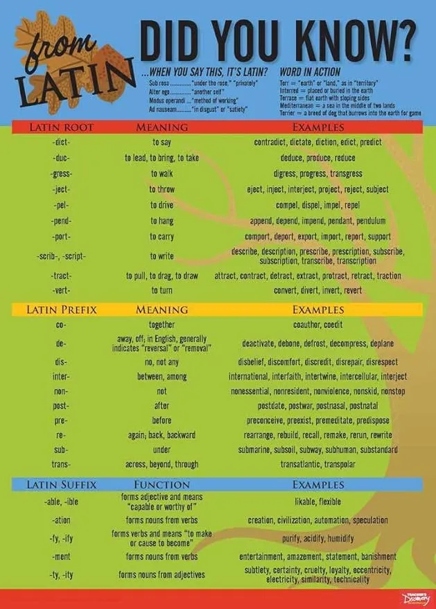 Latin Language Common Roots Poster Y