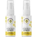 Beekeeper's Naturals Throat Spray, Propolis, Kids - 1.06 fl oz