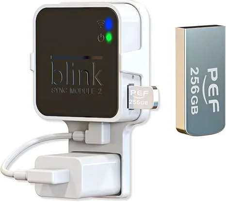 256GB Blink USB Flash Drive for Local Video Storage with The Blink Sync Module 2 Mount (Blink Add-On Sync Module 2 Itself is NOT Included)