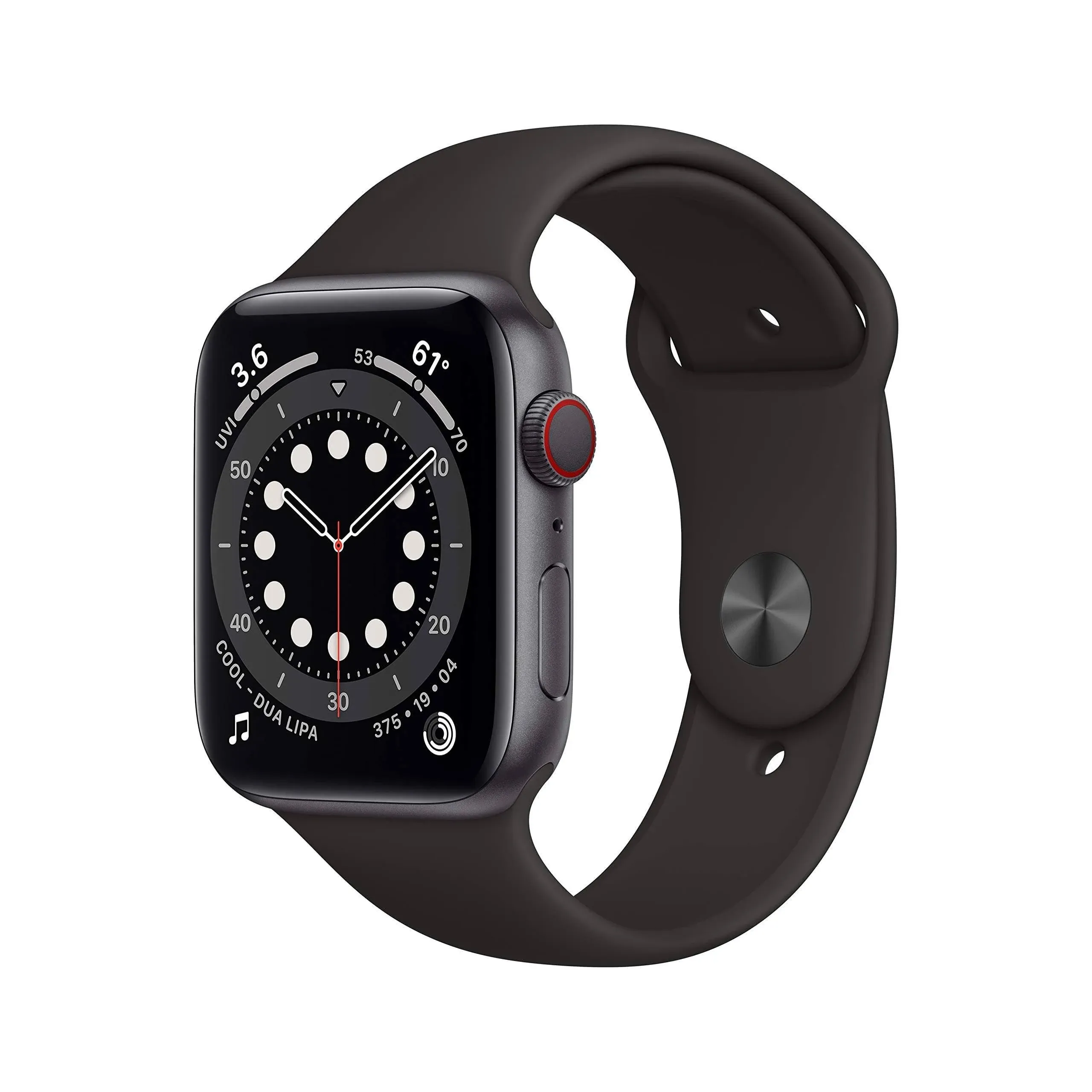 Adult Apple Watch Series 6