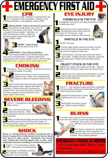 First Aid and Choking Poster, 11' x 17", Laminated, Includes CPR, Shock, Eye Injury, Fracture, Burns, Severe Bleeding & Choking