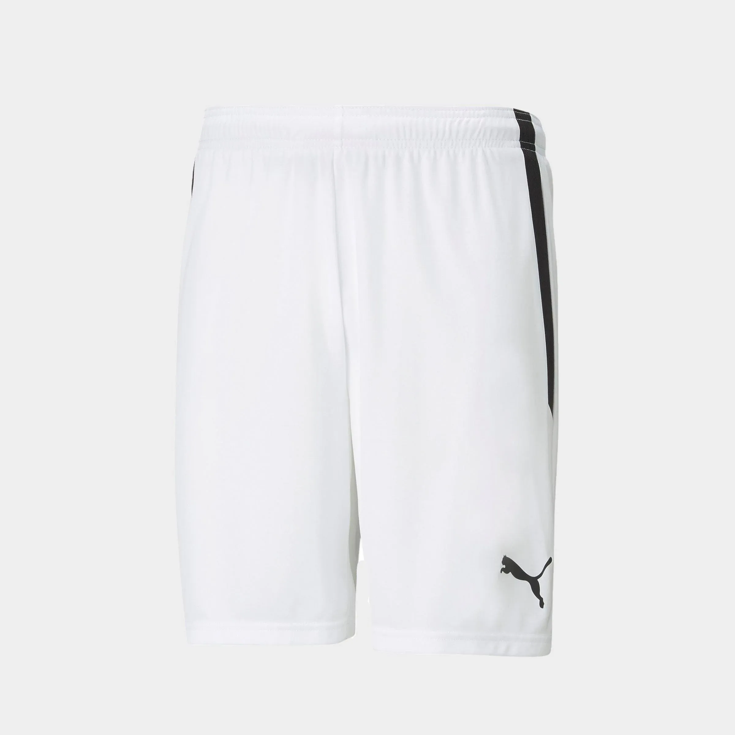 Puma Men's Teamliga Shorts