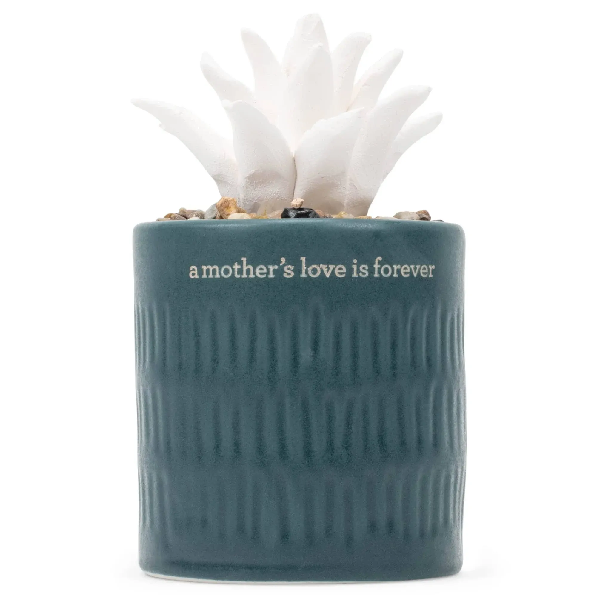 Demdaco Love  Forever Teal Blue Succulent 3 x 5 Stoneware Oil Diffuser