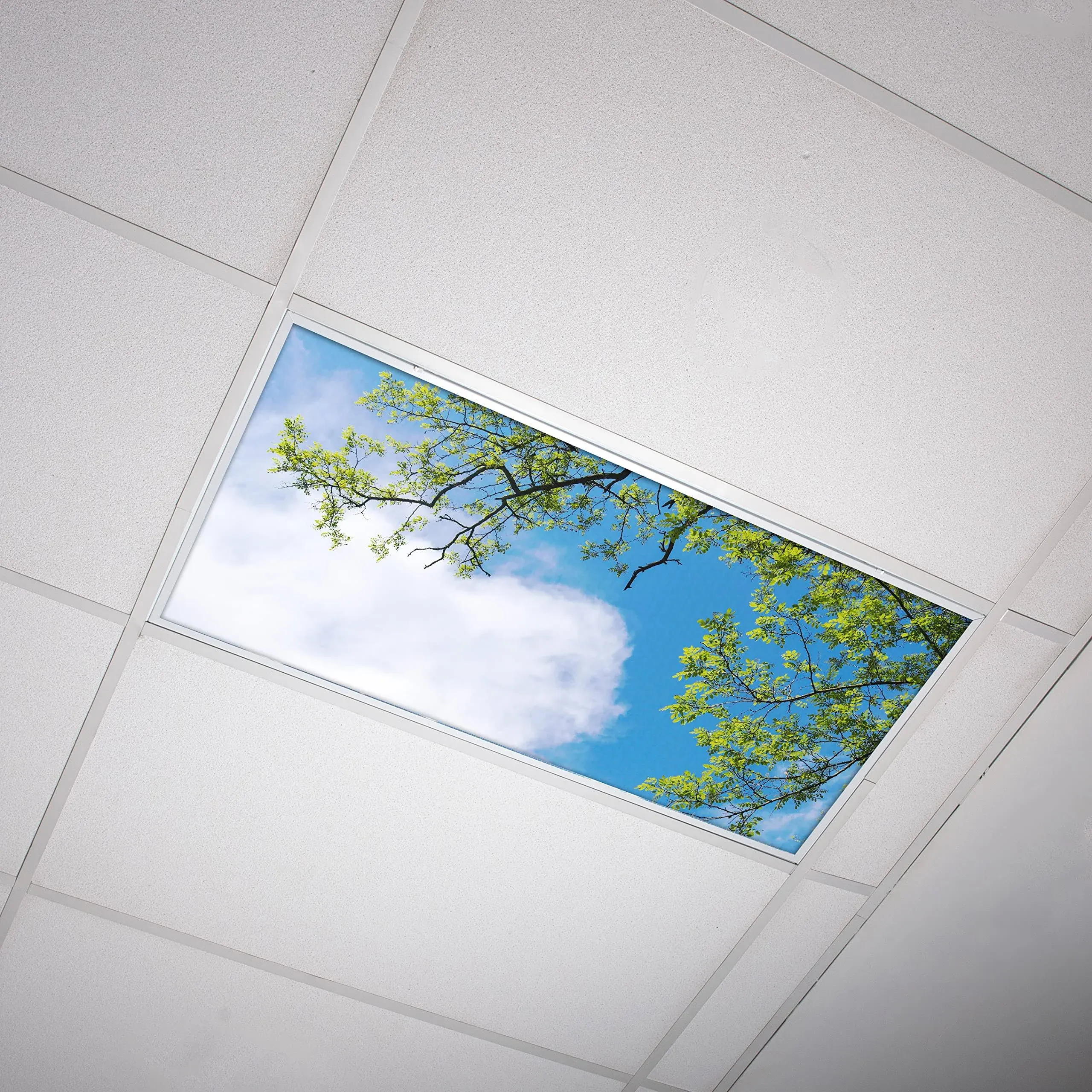 Fluorescent Light Cover for Classroom Ceiling Lights - Premium Backlit Film Insert 2x4 (22.38"x46.5") Florescent Fixture (Pack of 1) School, Office, Sensory, Improve Focus, Eliminate Headaches - Tree